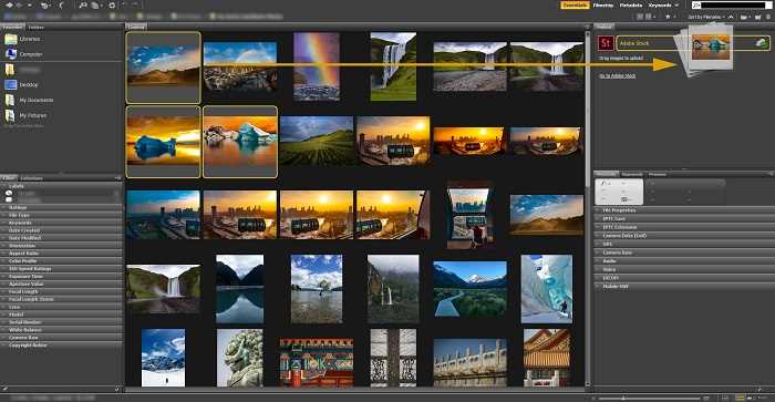 Скачать Adobe Bridge 2021 v12 крякнутый бесплатно на русском языке